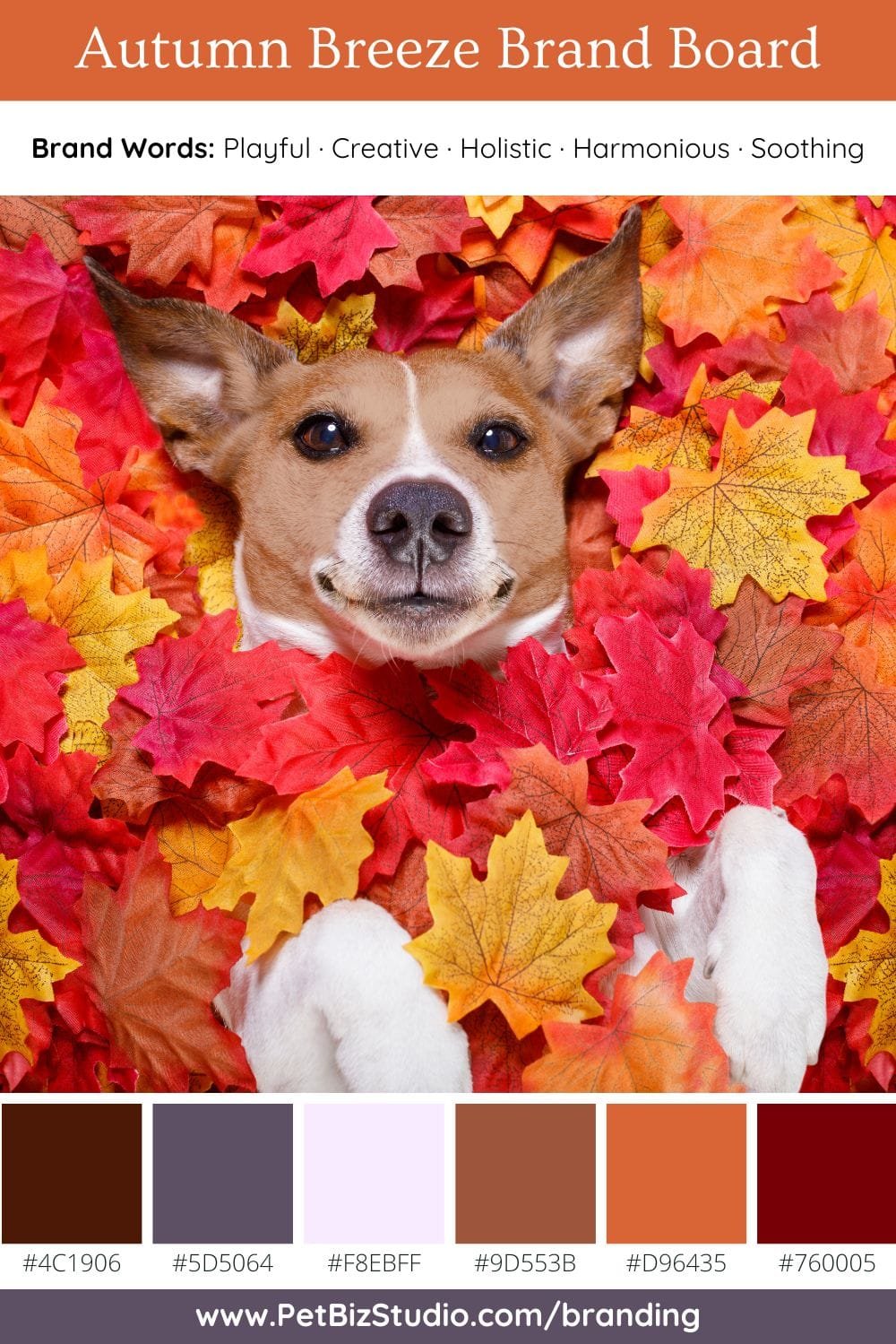Image of a Modern Pet Brand Colour Palette | Blue Orange Business Colour Scheme