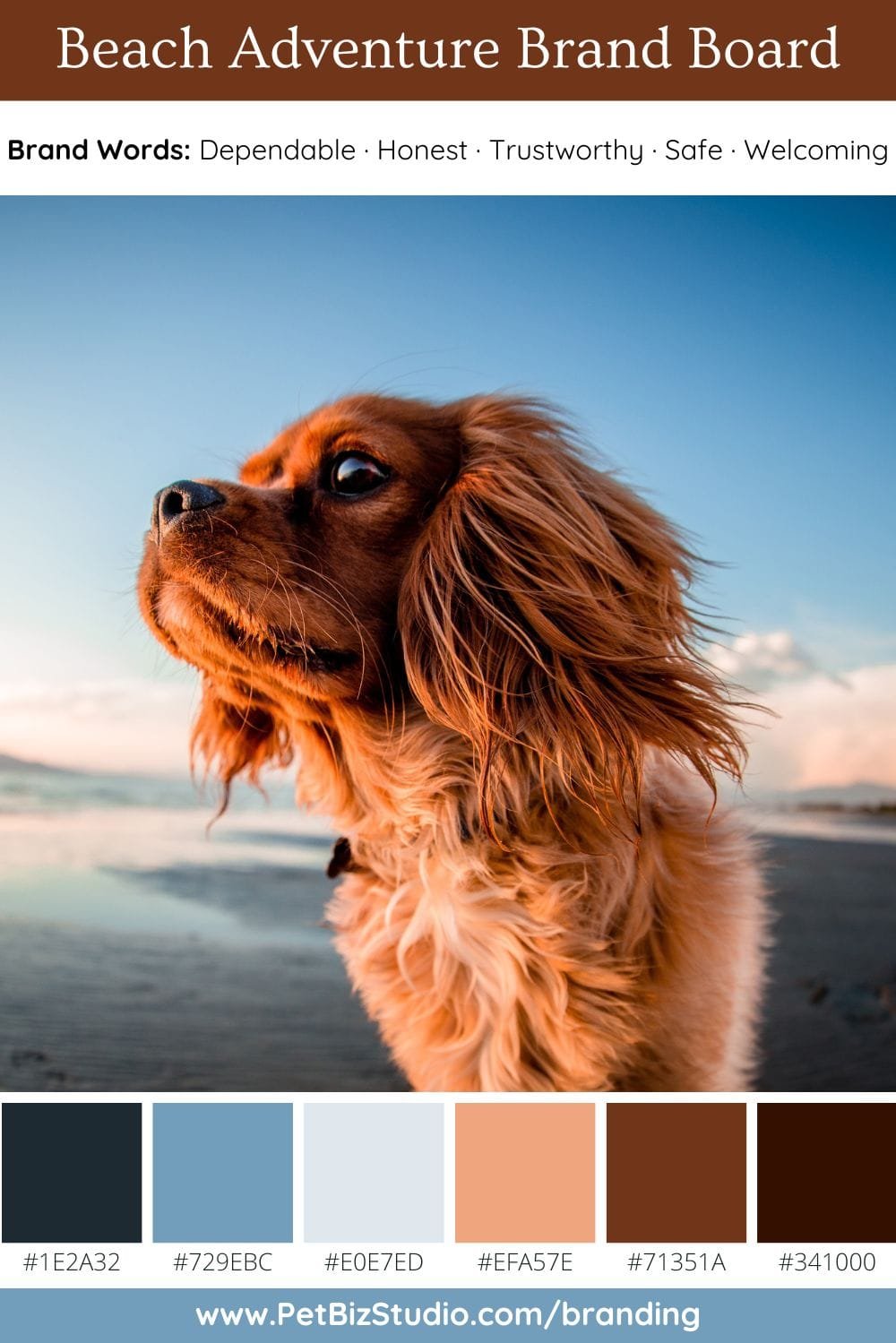 Image of a Traditional Pet Company Colour Palette | Blue Brown Professional Palette
