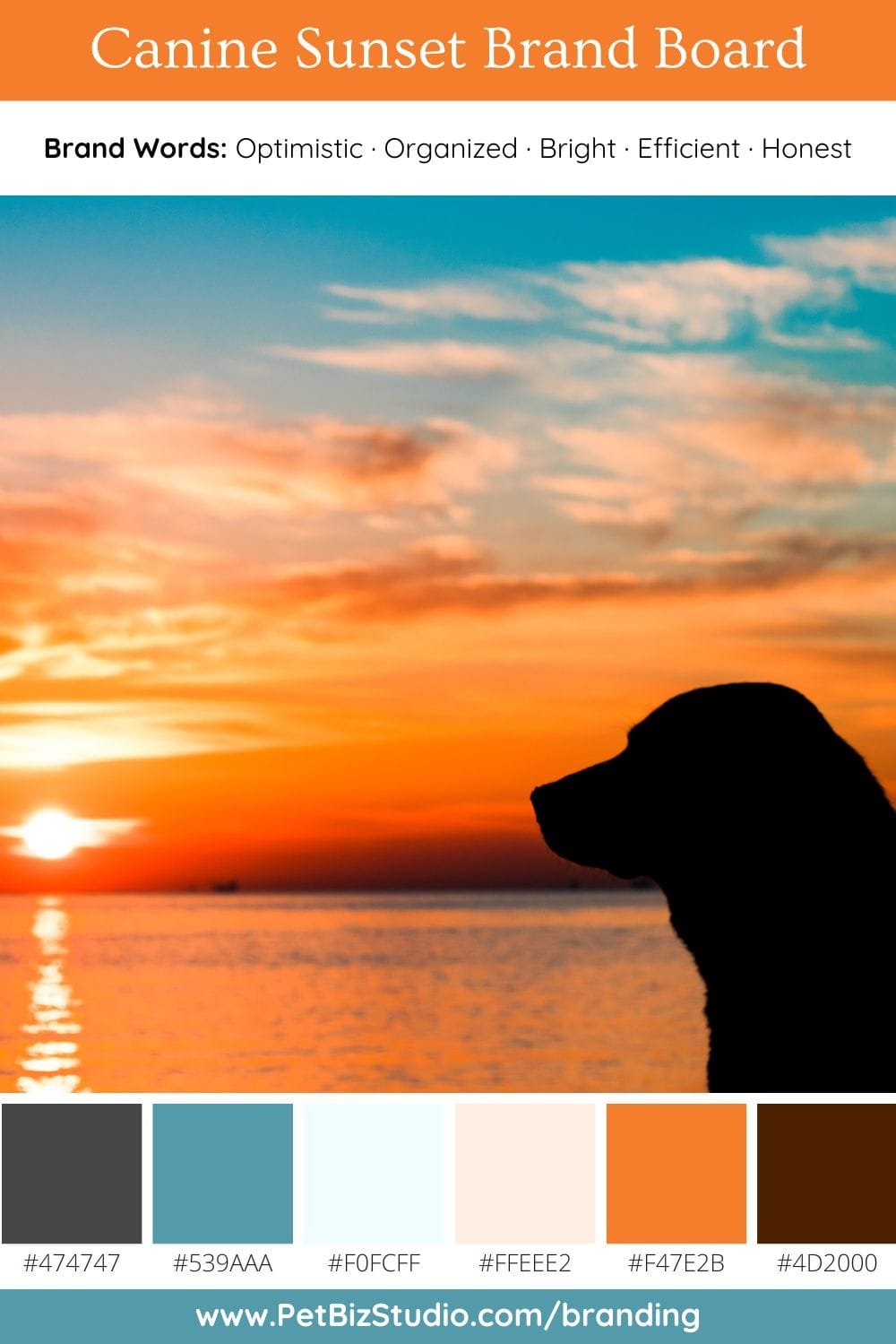 Image of a Blue and Orange Pet Brand Colour Palette | Dynamic Professional Palette