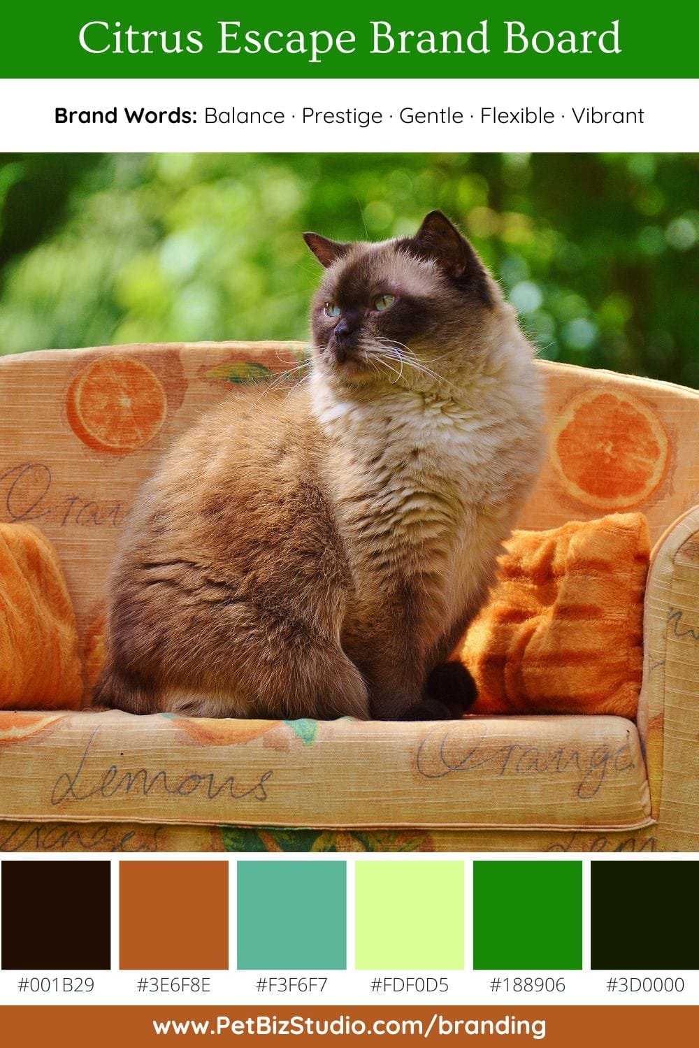 Image of a Active Pet Business Colour Palette | Green Orange Professional Palette