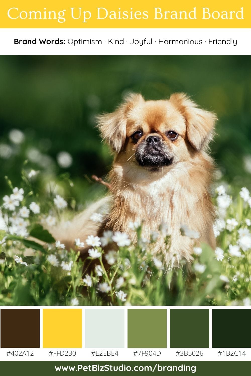 Image of a Organic Pet Company Colour Palette | Yellow Green Brand Palette