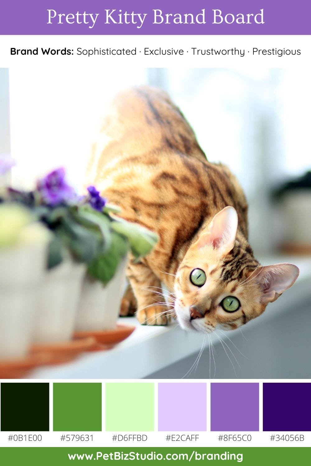 Image of a Purple and Green Pet Brand Colour Palette | Natural Premium Palette