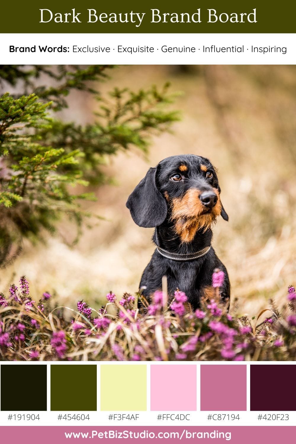 Image of a Dark Pink and Green Pet Brand Colour Palette | Modern Botanical Palette