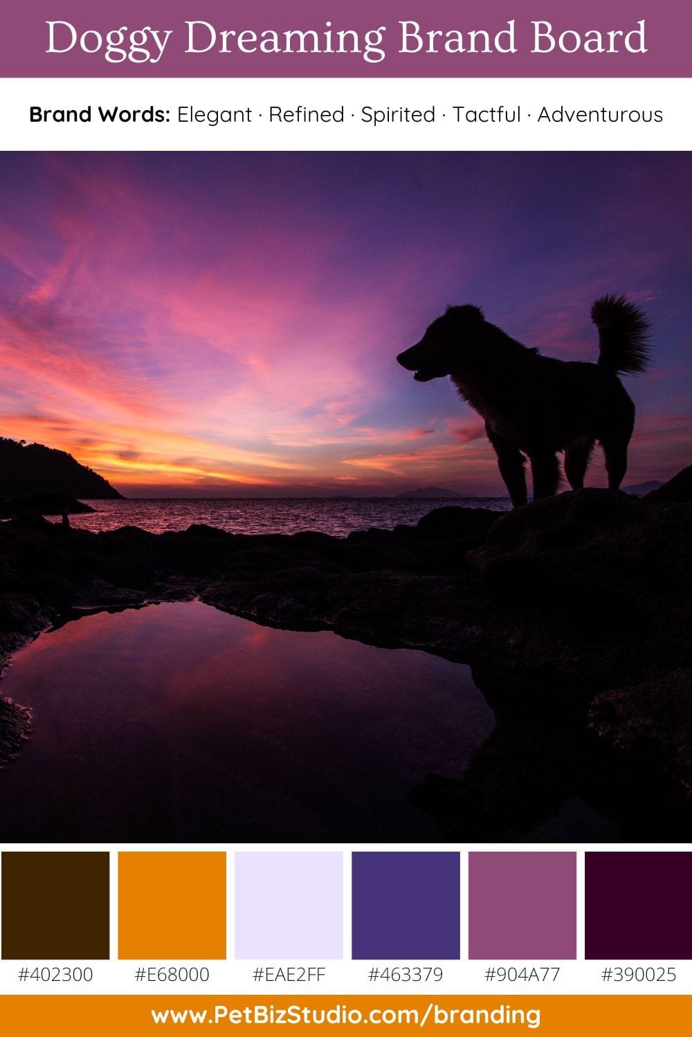 Image of a Purple and Orange Pet Brand Colour Palette | Bold Creative Palette