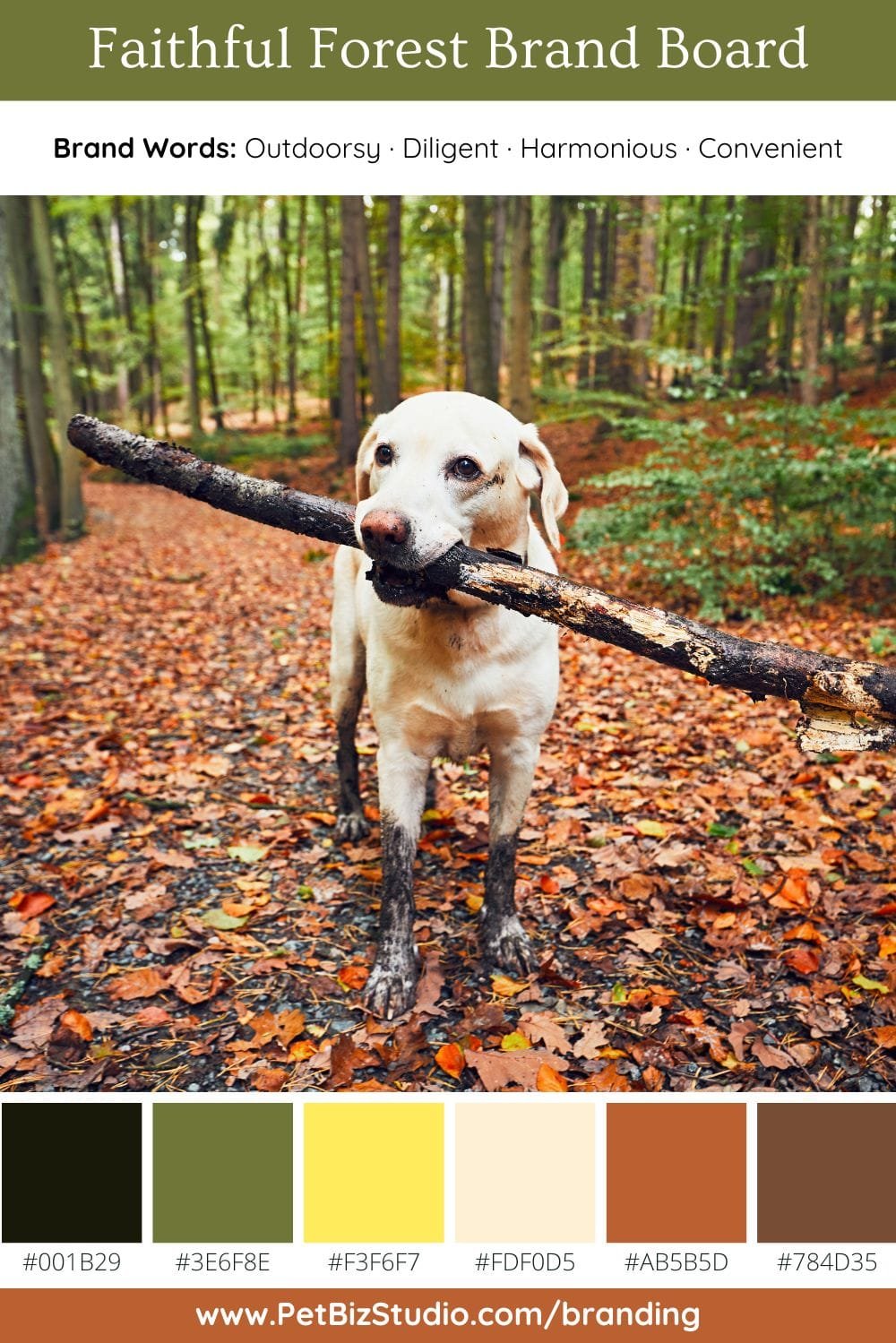 Image of an Earthy Pet Business Colour | Brown Green Professional Palette