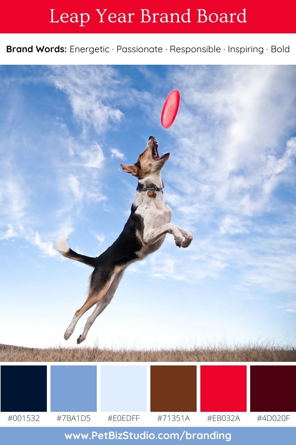 Image of a Modern Pet Brand Colour Palette | Blue Pink-Red Business Colour Scheme