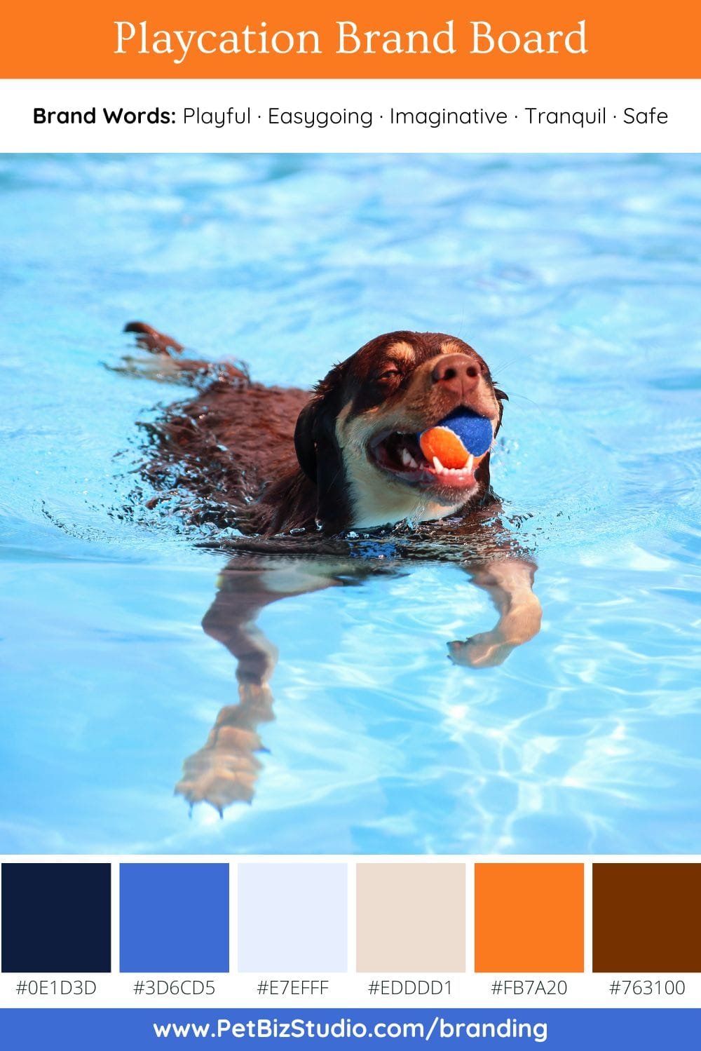 Image of an Energetic Pet Business Colour Palette | Blue Orange Professional Palette