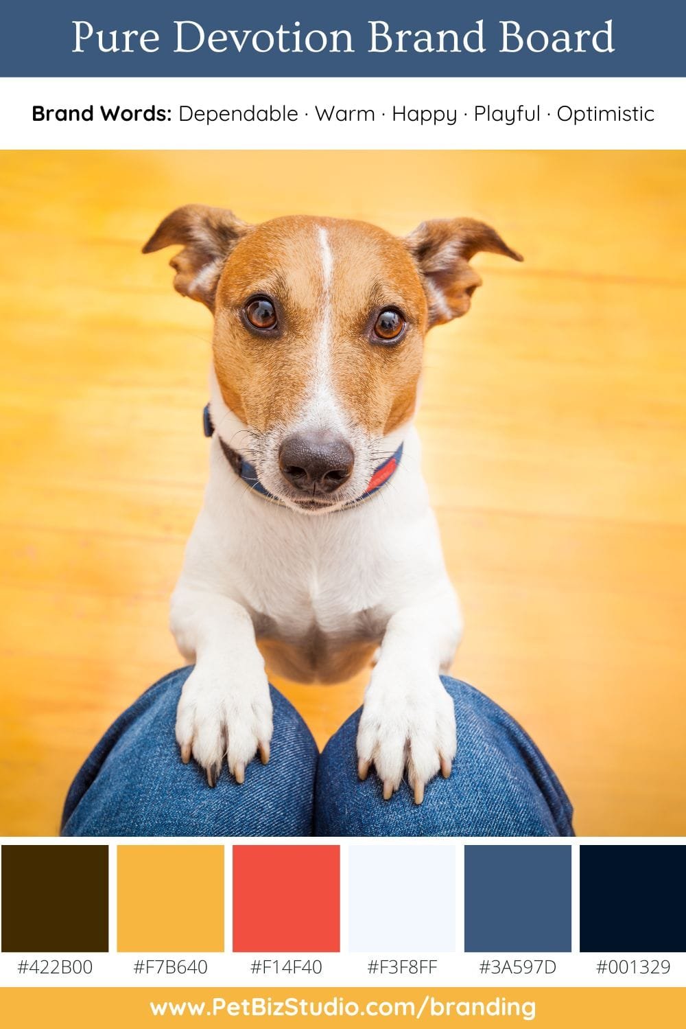 Image of a Blue and Yellow Pet Business Color Palette