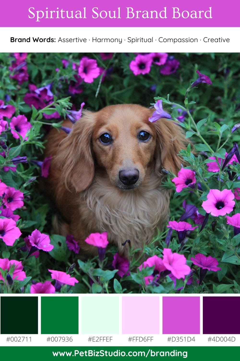 Image of a Green and Purple Pet Brand Colour Palette | Unique Professional Palette