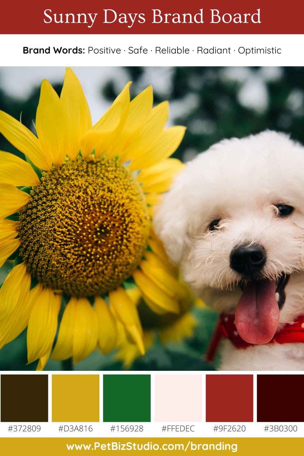 Image of a Yellow Green Pet Brand Colour Palette | Modern Accent Business Palette