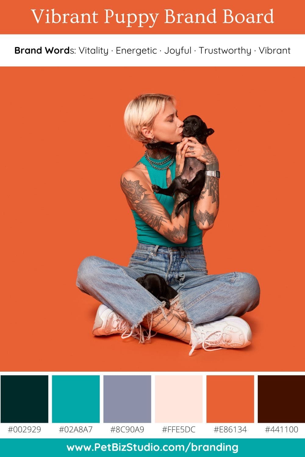 Image of a Modern Pet Brand Colour Palette | Blue Orange Business Colour Scheme