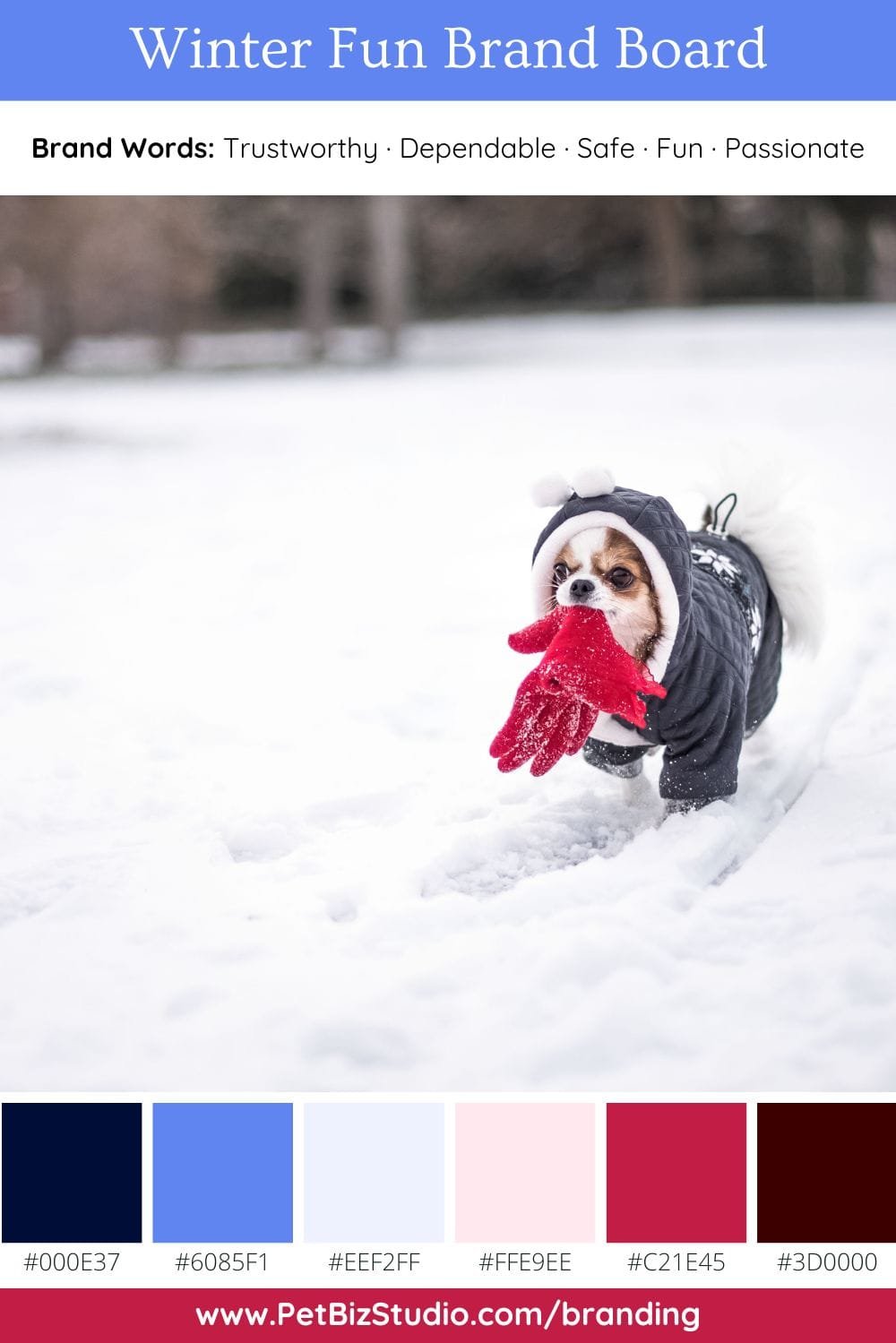 Image of a Blue and Pink Pet Brand Colors