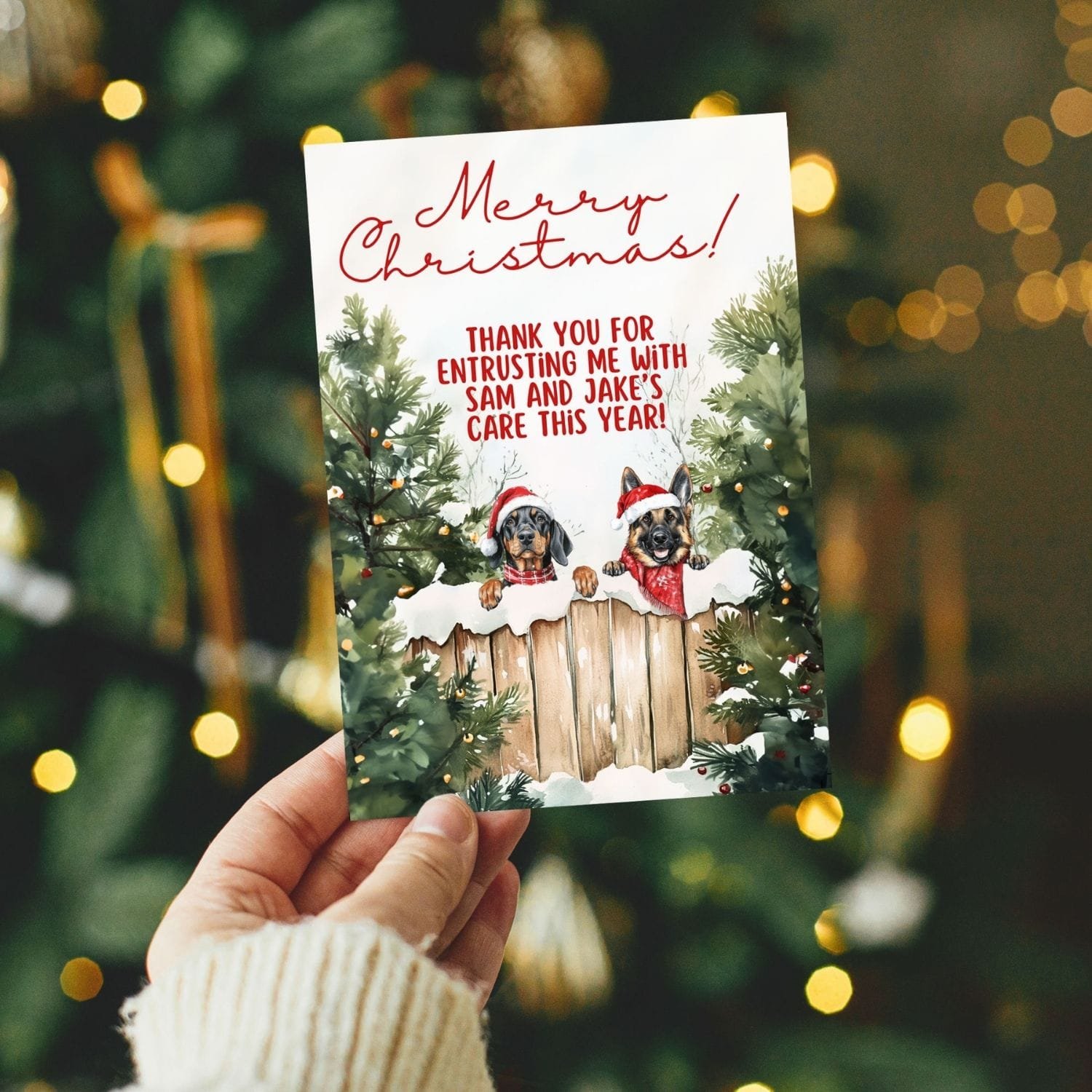 Image of Canva dog walker client Christmas card