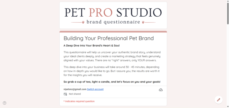 Screenshot of the Pet Pro Studio Brand Questionnaire
