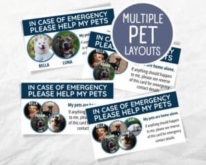 Image of printable pet emergency card