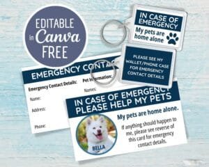 Image of Printable pet emergency cards